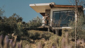 Ein modernes Haus mit flachem Dach und großen Fenstern, umgeben von natürlicher Vegetation.