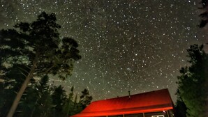 A cabin with a red roof, surrounded by trees, under a starry night sky. - Tobermory Peaceful Private Entire Log Cottage Spacious Fully Equipped (Tobermory)