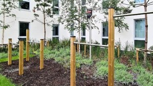 Un área de gimnasio al aire libre con estructuras de madera y un edificio al fondo.