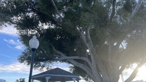 Un pabellón con techo blanco y un farol, rodeado de árboles frondosos y vistas a un puerto deportivo con barcos.