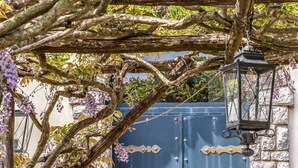 Um portão de metal azul com detalhes decorativos, cercado por trepadeiras de glicínia e um candeeiro suspenso.