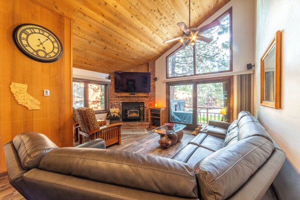 Smart TV, fireplace, books