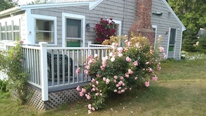 A house with a porch, a brick chimney, and a garden with pink roses. - Quaint Retro Ash Cove Cottage (Harpswell)