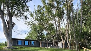 A residential area with a large tree, a fenced yard, and a house with a blue window. - Beautiful 4 bedroom lake house with private dock. (Nashua)