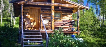 Burton Cabin - Secluded Rustic Charm