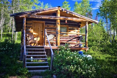 Burton Cabin - Secluded Rustic Charm
