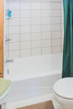 Combined shower/bathtub, towels - Merchant Cabin - Near Steamboat Lake (Clark)