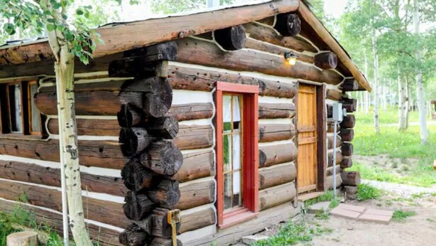 Un chalet rustique en rondins de bois, doté d’une porte et de fenêtres en bois, entouré de verdure.