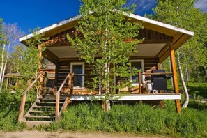 A rustic cabin with a wooden exterior, a porch with steps, and a small outdoor area with a grill.