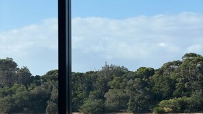 A view of a forested landscape through a window. - Absolute Waterfront Beach House (Minnamurra)
