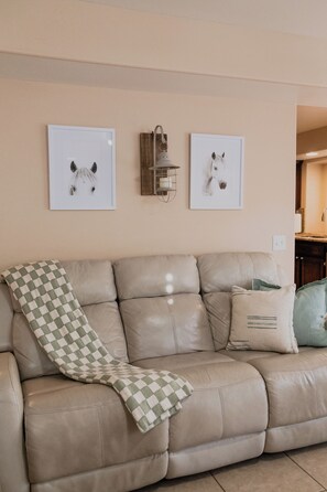 Smart TV, fireplace, DVD player, books