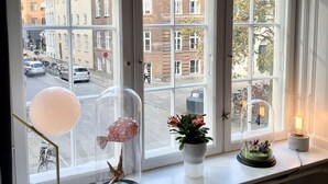 A window with multiple panes, a radiator below, and a street view outside. - Spacious luxury apartment in city Center . (Copenhagen)