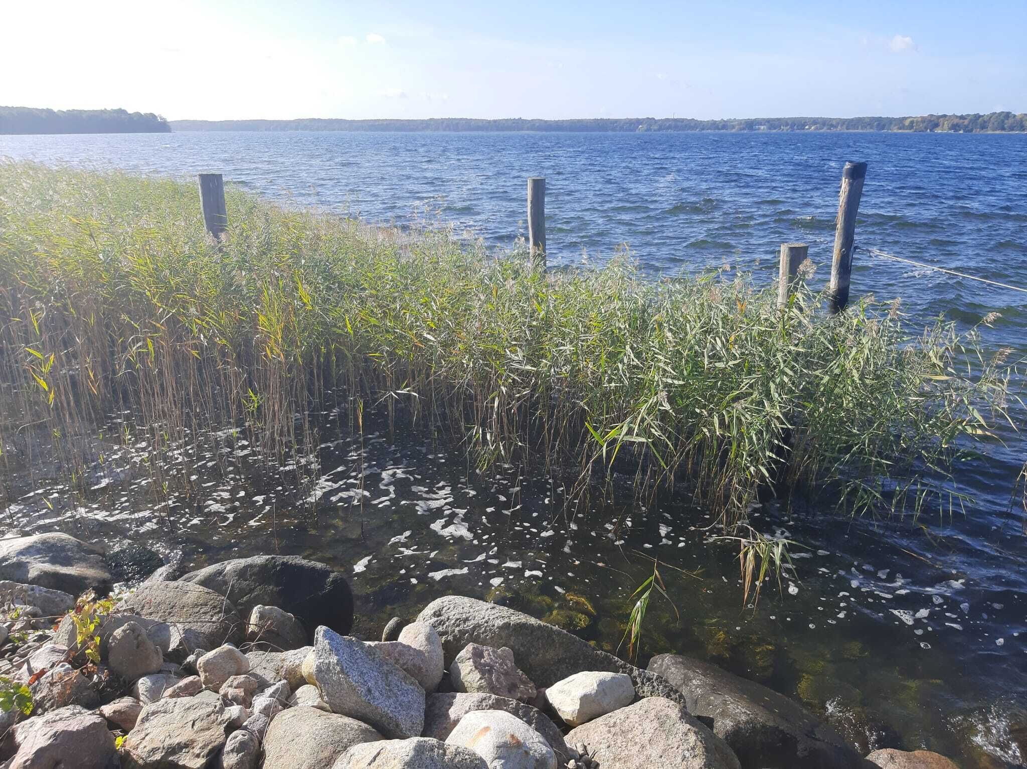 Eine felsige Küstenlinie mit klarem Wasser und Vegetation.