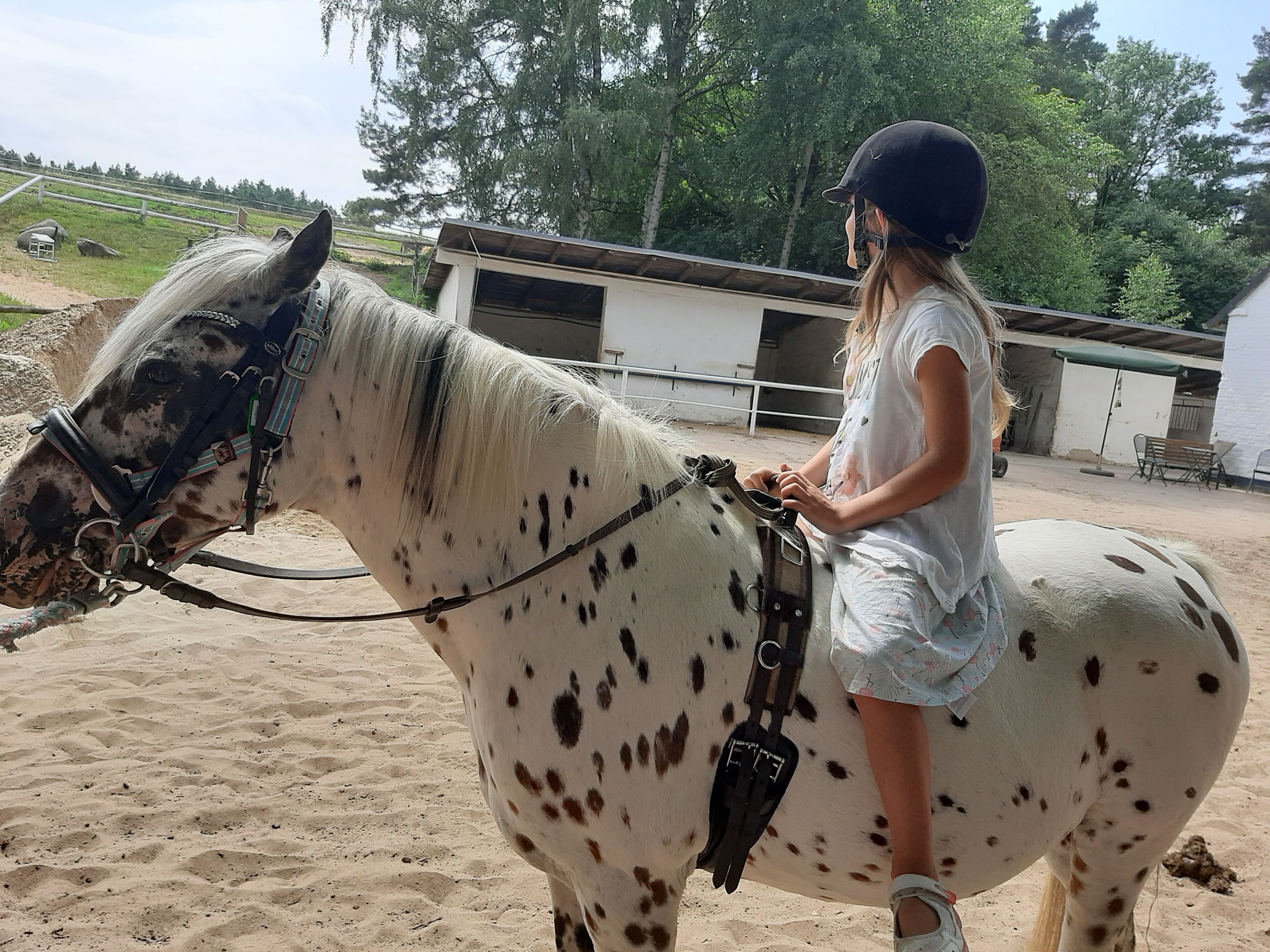Une personne à cheval, montant un cheval tacheté, se trouve dans une écurie, avec un bâtiment visible en arrière-plan.