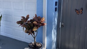 Een garage met een plant in pot, een vlinderdecoratie en een blauwe muur.