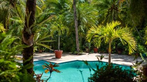 A pool surrounded by lush greenery and palm trees. - Casa Sunzal Boutique Hotel (Tamanique)