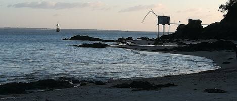 ビーチの近く、サンラウンジャー