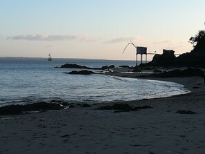 Playa en los alrededores y camastros 