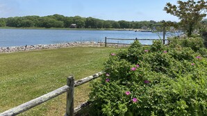 Blick auf einen See mit Holzzaun, Rasenflächen und violetten Blumen.