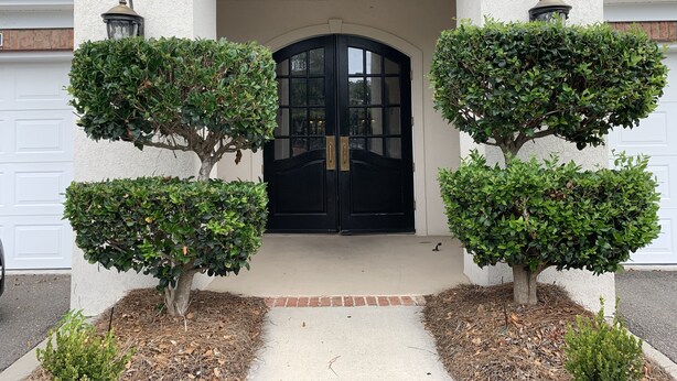 A building entrance with a black door, a sign reading "THE HAVENS 8", and two symmetrical topiary trees.