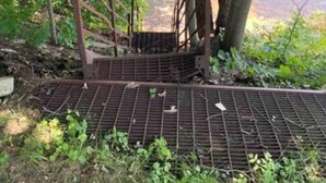 Eine Metalltreppe führt zu einem Gewässer, umgeben von Bäumen und Pflanzen.