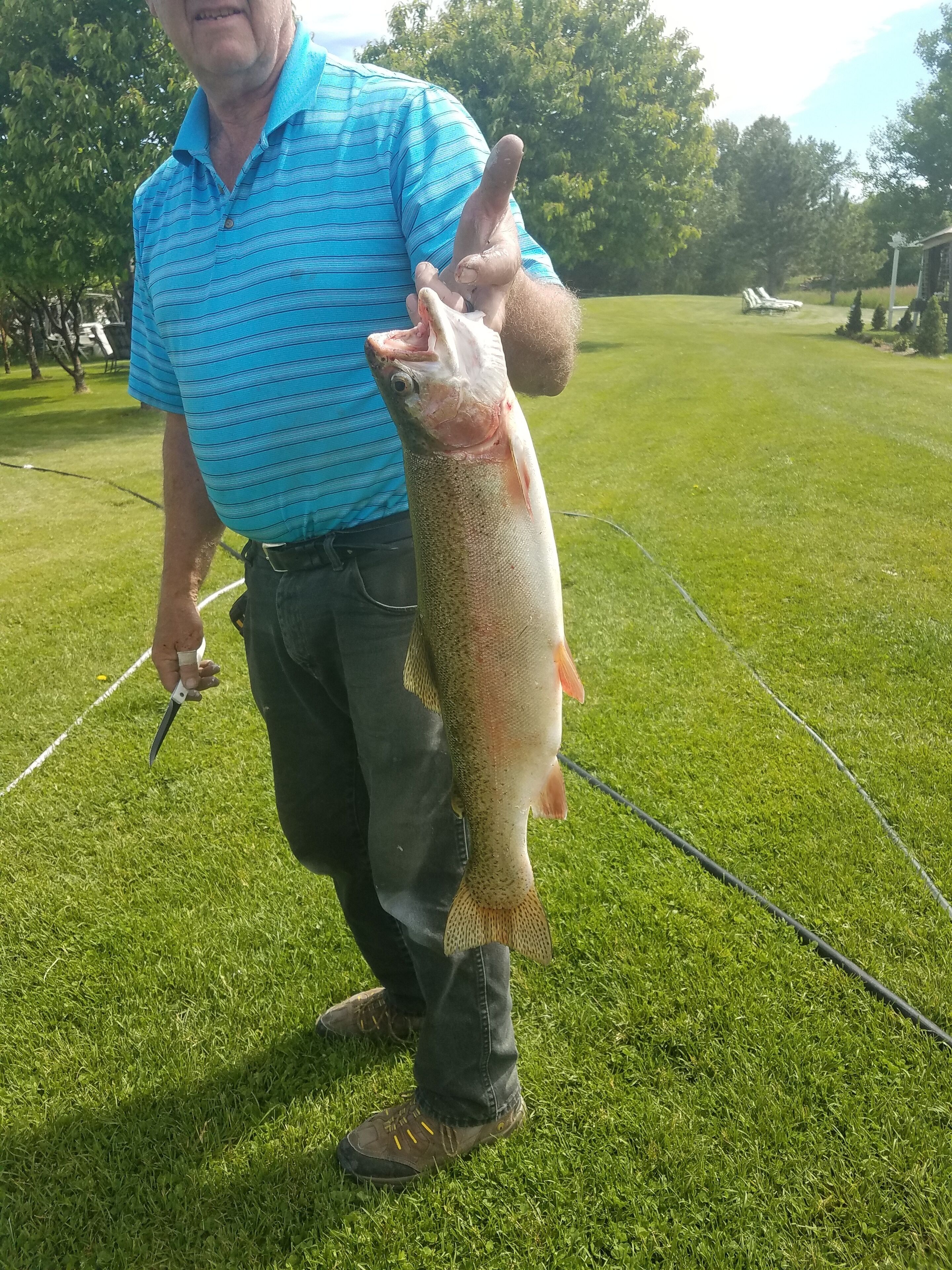 Eine Person hält einen Fisch auf einer Wiese.