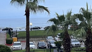 Un’area di parcheggio con auto, palme e vista sull'oceano.