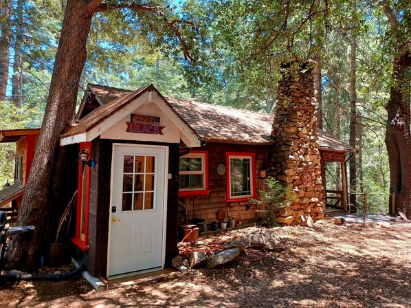 Exterior - Peaceful 1920s Cozy Cabin snuggled in 100 ft Pines -Palomar Mt, Bailey Meadows (Palomar Mountain)