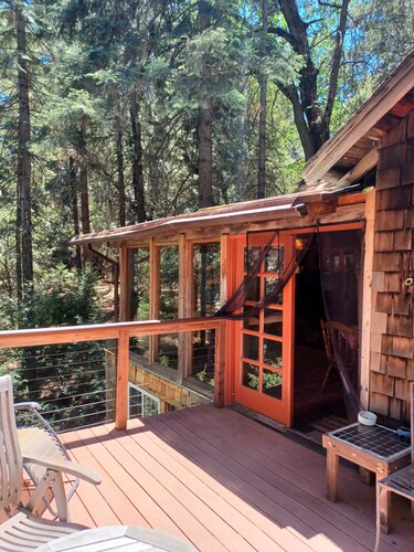 Peaceful 1920s Cozy Cabin snuggled in 100 ft Pines -Palomar Mt, Bailey Meadows