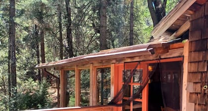 Peaceful 1920s Cozy Cabin snuggled in 100 ft Pines -Palomar Mt, Bailey Meadows