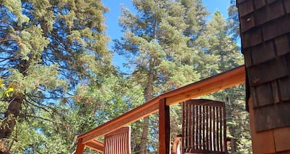 Ainutlaatuinen 1920 Redwood Cabin Pines- Cozy Romantic
