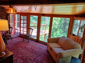 TV, fireplace, DVD player, video library