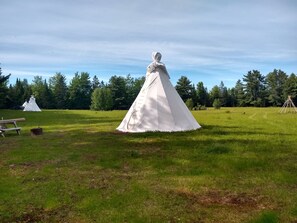 Terrain de l’hébergement 