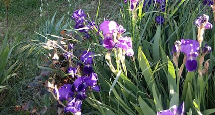 Quiet, Nature, Uniqueness in a Beautiful House in the Green Ardeche