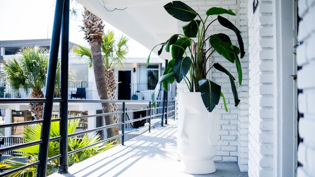 A balcony with a white planter, palm trees, and a white brick wall. - 300 Tenth (Myrtle Beach)