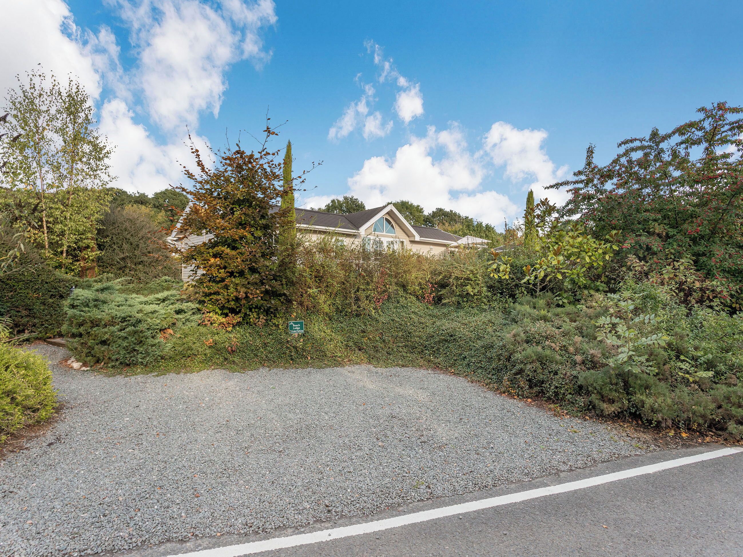 A gravel driveway leading to a house surrounded by dense vegetation and trees.