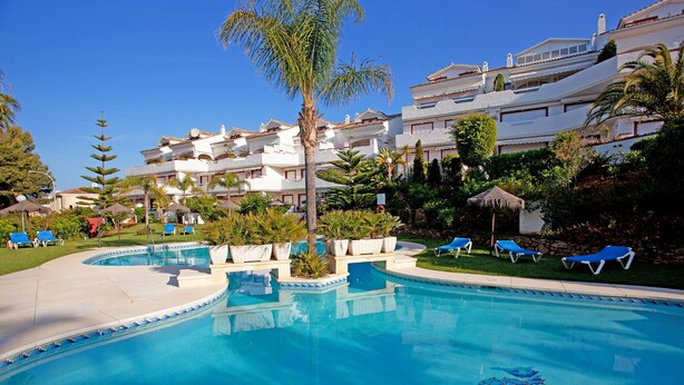 A swimming pool with blue lounge chairs, a palm tree, and a building with balconies.