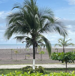 On the beach, sun-loungers - BEACHFRONT Condo Bahia Encantada L1 2-Bedroom Jaco Beach (Puntarenas Province)