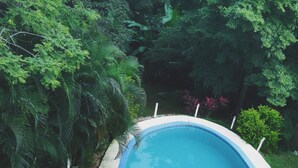 A swimming pool with a curved edge, surrounded by lush greenery. - Hotel Georgi CR (Veintisiete de Abril)