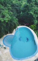 A swimming pool with a curved edge, surrounded by lush greenery.
