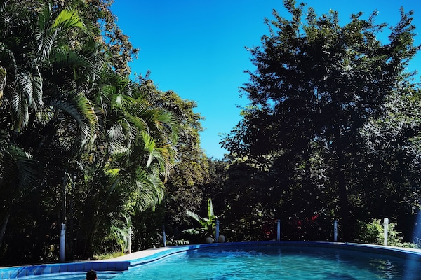 2 outdoor pools, open 8:00 AM to 9:00 PM, pool loungers