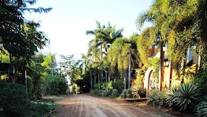 A dirt road flanked by lush greenery and palm trees, leading to a building with a red roof and arched entrance. - Hotel Georgi CR (Veintisiete de Abril)
