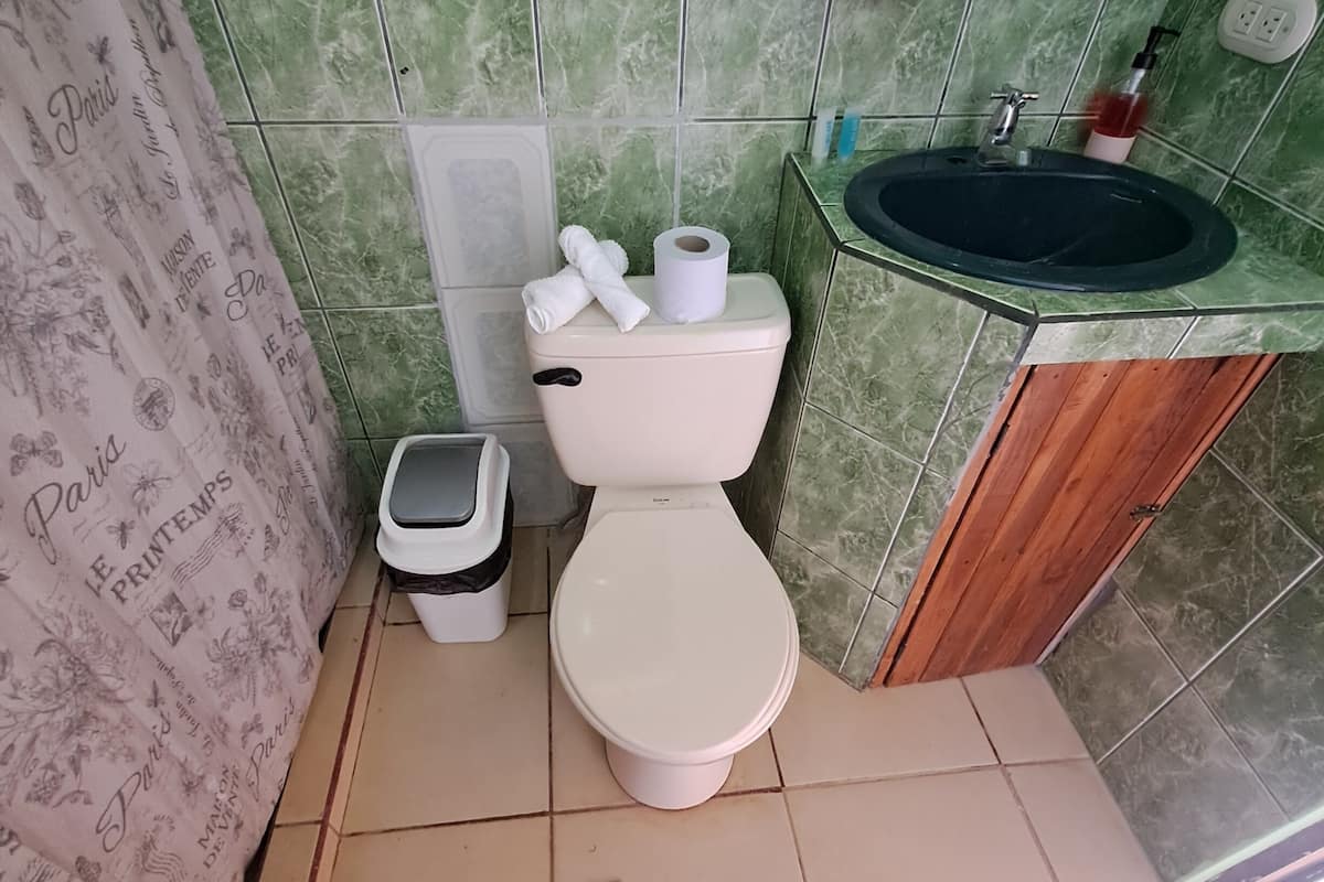 Un baño con inodoro, cubo de basura, lavamanos y ducha.