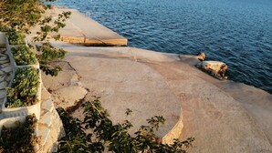 Uma passarela costeira com degraus de concreto que descem até o mar, rodeada por vegetação e com vista para um mar calmo e colinas ao longe.