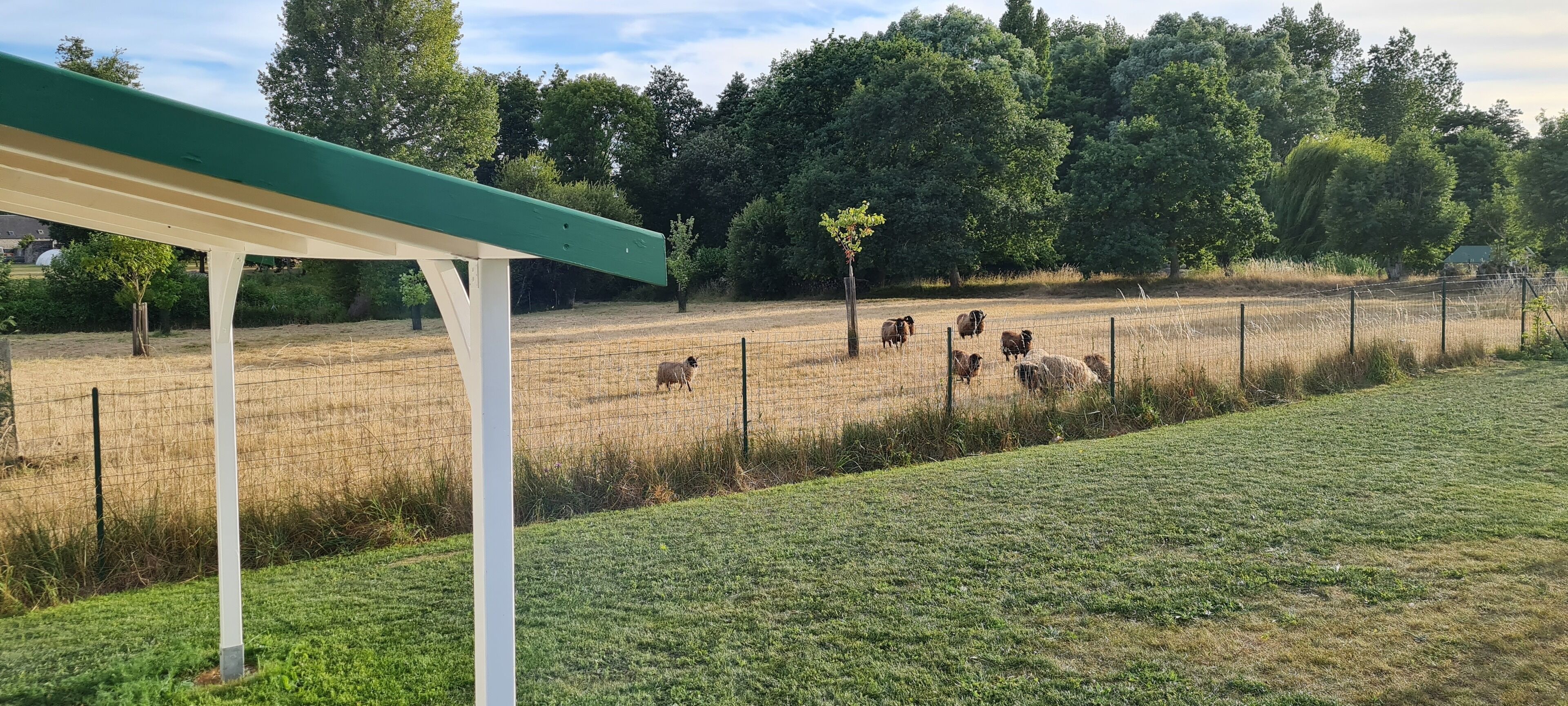 A fenced outdoor area with a green structure, likely a shelter, and a grassy field with trees in the background.