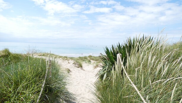 A sandy path leading to a beach with grassy vegetation on either side. - Bright new wooden house with enclosed garden 5 minutes from the beach (Gouville-sur-Mer)