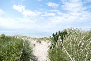 Un sentier sablonneux menant à une plage, de part et d’autre duquel s’étend une végétation herbeuse.