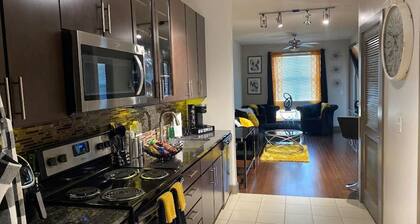 High Rise Condo/Apartment in the Medical Center Area