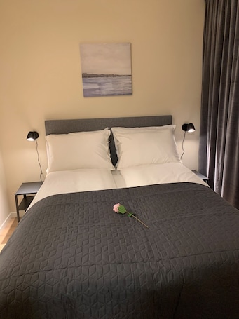 1 bedroom, laptop workspace, free WiFi, bed sheets