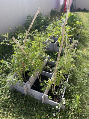 Property grounds - Nice house with swimming pool  (Saint-Marcel-lès-Valence)